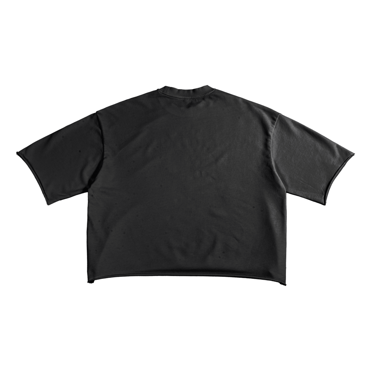 French Terry Raw Edge T-Shirt V2